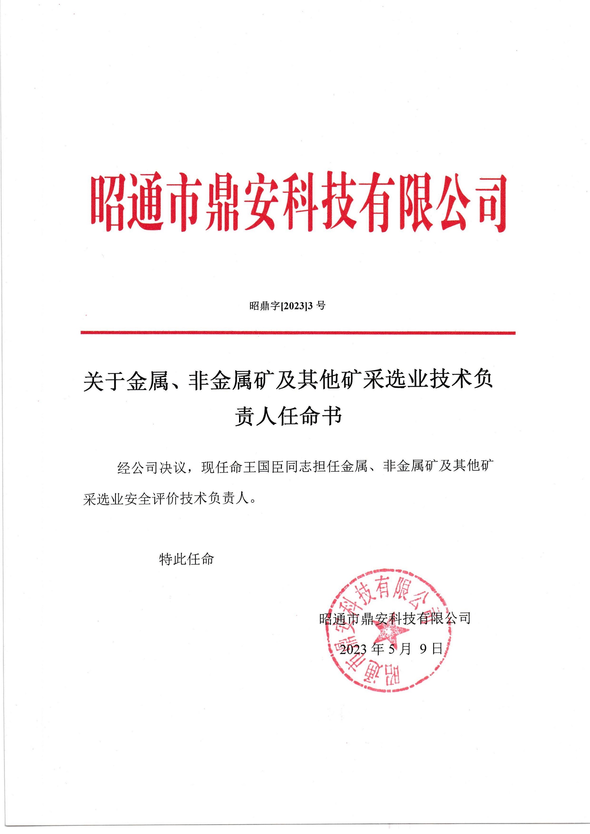 關于金屬、非金屬礦及其他礦采選業(yè)技術負責人任命書-王國臣_2.jpg